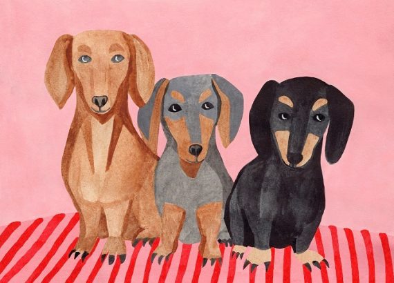 Ekvilibrijumna majestetična zihernadla